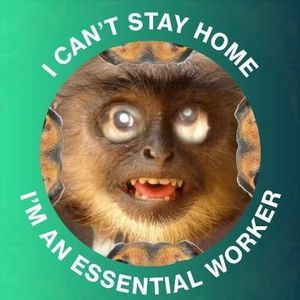 Meet your Posher, Connie